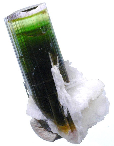 Liddicoatite — cristallo verde